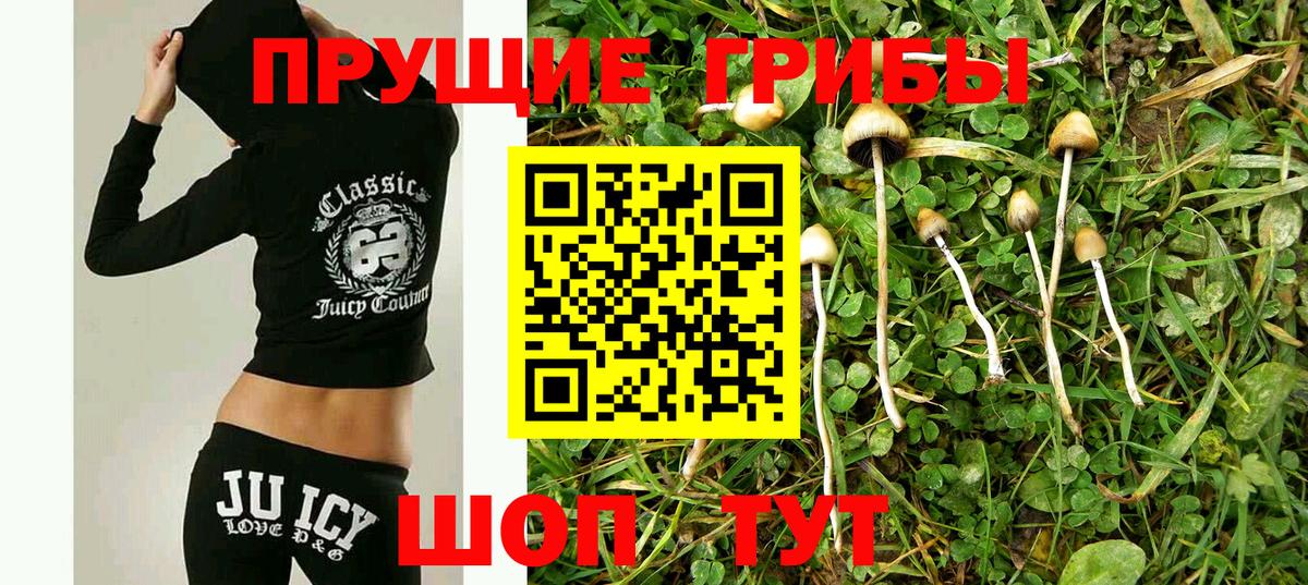 Семёнов  Галлюциногенные грибы GOLDEN TEACHER  Псилоцибиновые грибы прущие грибы  Вход с VPN 